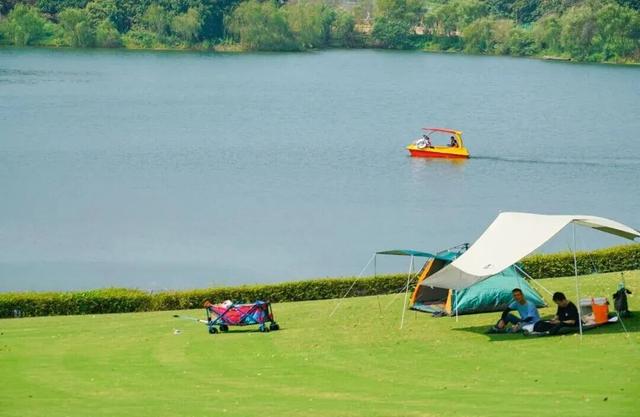 知识+100，快乐+100