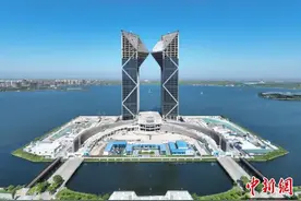 上海临港新片区最高标志性建筑“风采初现”图片