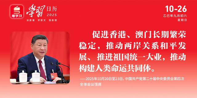 南方+早班车 | 深中通道西人工岛开放观光，登岛攻略→