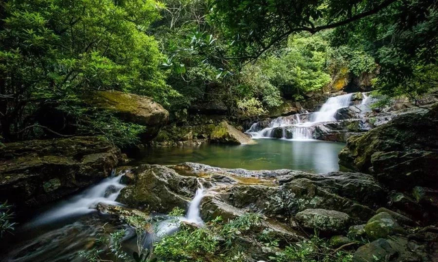热到融化？优惠已备好，钦州山野凉风吹起来～
