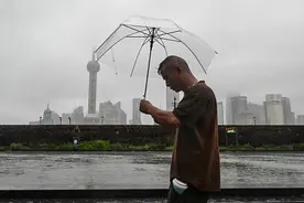 提前6天预测“贝碧嘉”将在浦东登陆！上海AI气象大模型今年已多次精准预测图片