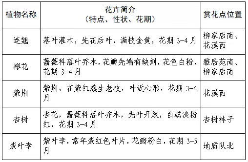 春天的请柬已送达！2026莱芜赏花地图“新鲜出炉”