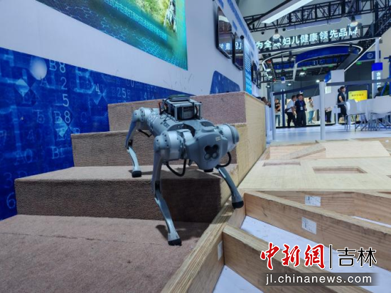 打造具身智能高地 从东北亚博览会一窥吉林机器人产业发展