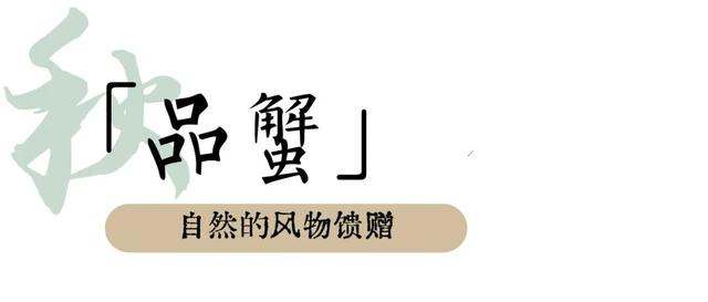 秋日“上”策！“顶级”仪式感做这些就够