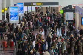 电子值机失灵，欧盟紧急应对！欧洲多国机场遭“神秘”网络攻击图片