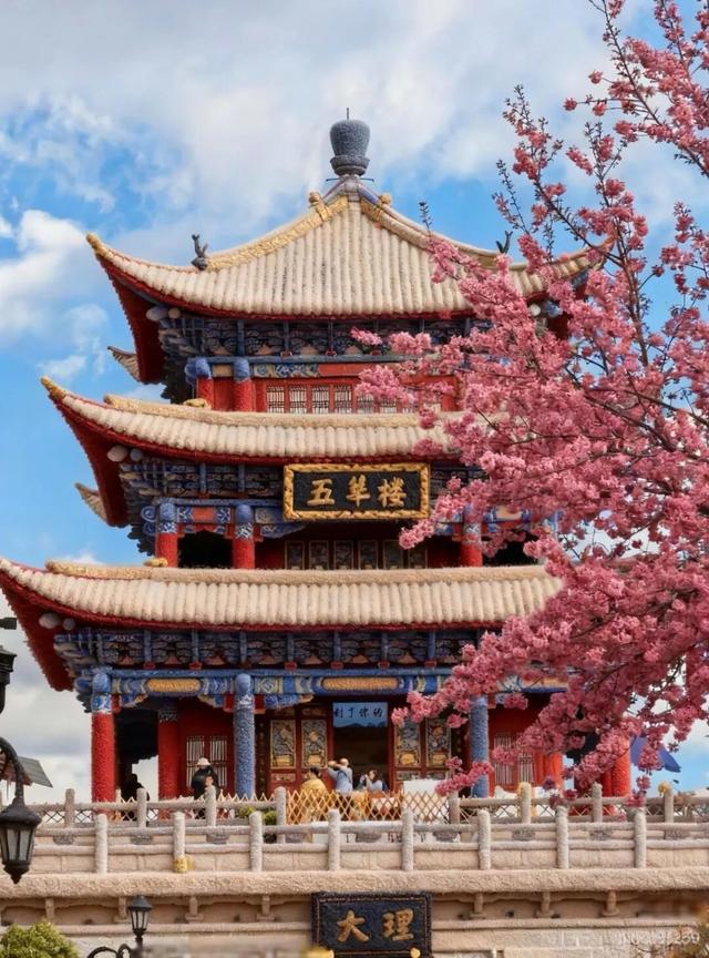 萌化了！大理全城“穿”毛衣~