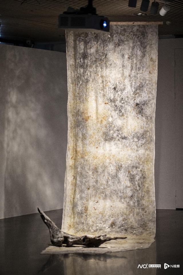 重思自然与人类的关系，展览“自然契约”登陆清华艺博
