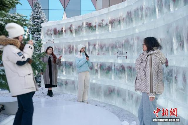 黑龙江哈尔滨：“冰封玫瑰”限定回归
