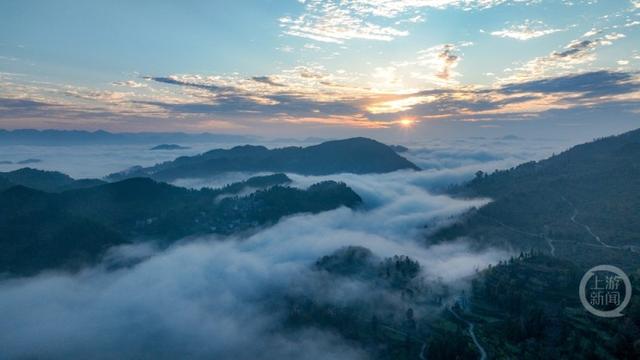 雾绕彩林伴冬阳
