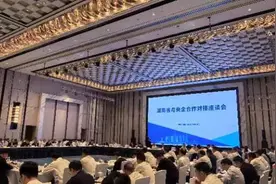 7600亿元投资湖南背后的双向奔赴图片