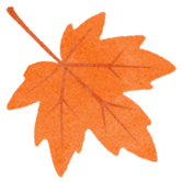 你手里的票根，又升值了！