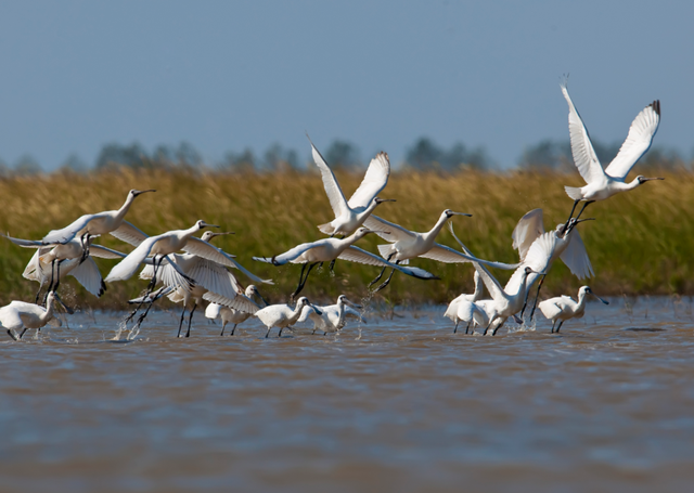 组图|黄海1号，331公里的秋日画廊