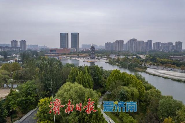 一年四季 泉在济南丨秋色入画！齐河大清河公园美成诗意画卷