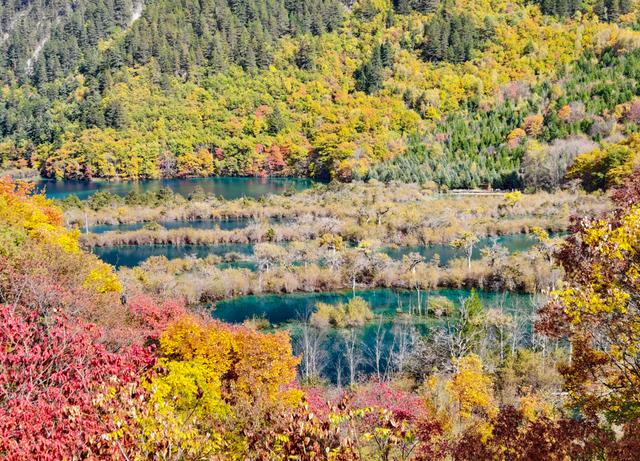 秋日九寨沟