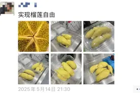 最低18元/斤！很多人爱吃的榴莲价格腰斩，现在买很划算！杭州有摊主一天卖出3000斤图片