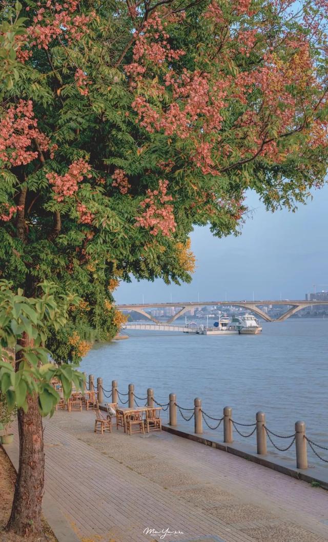 福州秋日限定浪漫已送达，附打卡点位→