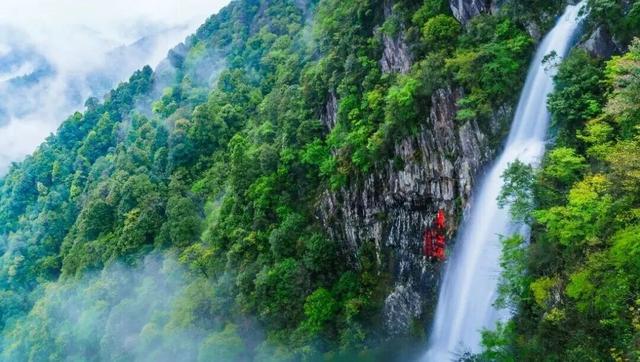 这个周末，来赣州一起“森”呼吸！