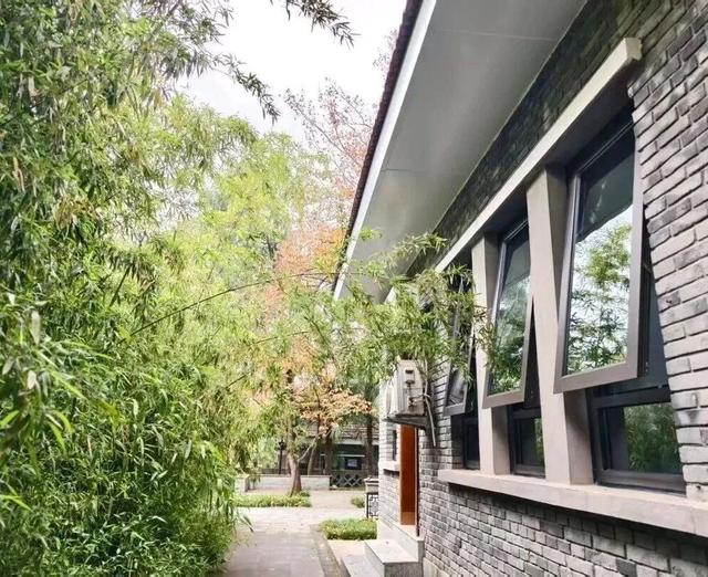 畅游年卡上新！解锁2026全年精彩，省钱又省心