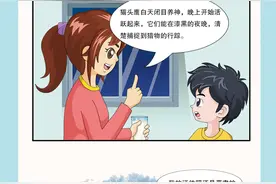 放学后·漫画|奇怪的知识㉑：猫头鹰的脑袋能“倒立”图片