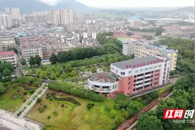 杨易青：用耐心爱心浇灌每一颗“种子”发芽成长图片