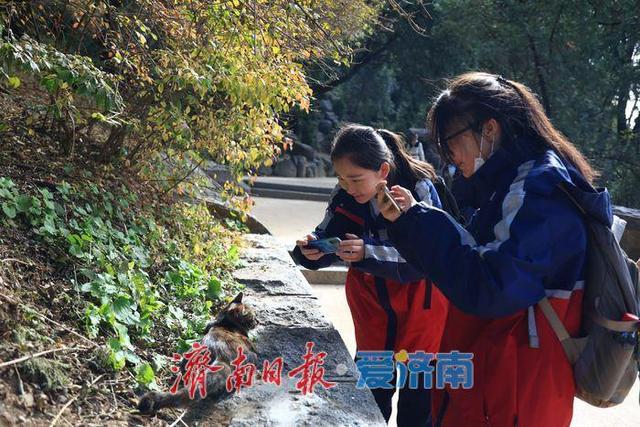 山河为证，团结筑梦！临夏武隆青少年赴泰山研学促交流