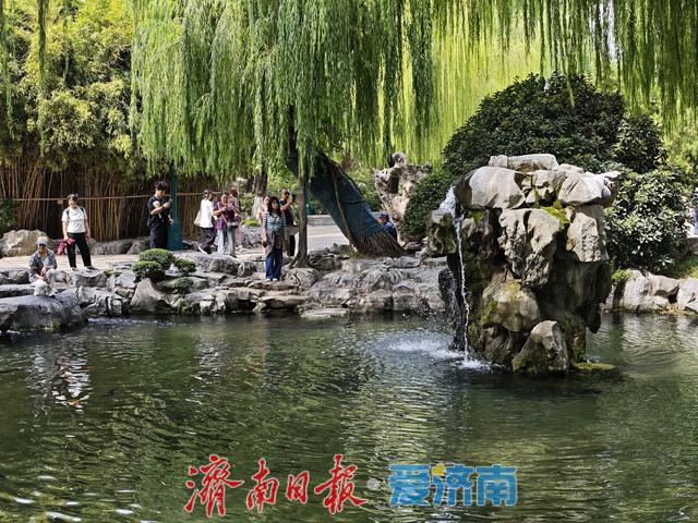 一年四季 泉在济南丨济南趵突泉突破29.06米新高，月牙泉同现“飞瀑奇观”