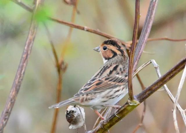 来保山，让冬日住进22℃的温柔里！
