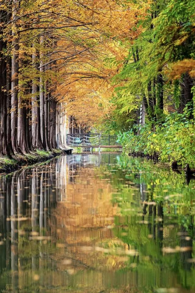 立冬第一游去哪里？淮安5处目的地，这个时节美翻了！