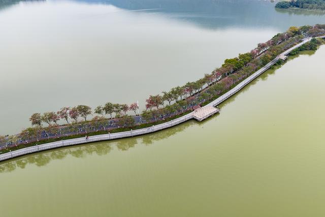 肇庆一周｜山水赋能，古郡“新生”，打造文旅名城