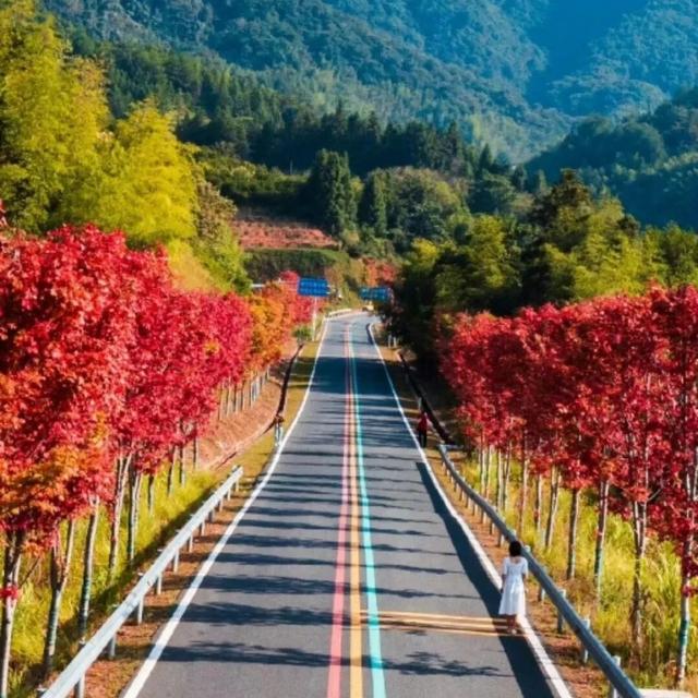 江西秋日自驾天花板，这几条公路带你驶入最美秋色！
