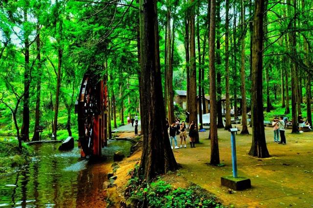 豫见两山 绿色答卷丨生态之旅——打卡“‘豫南明珠’南湾水库”