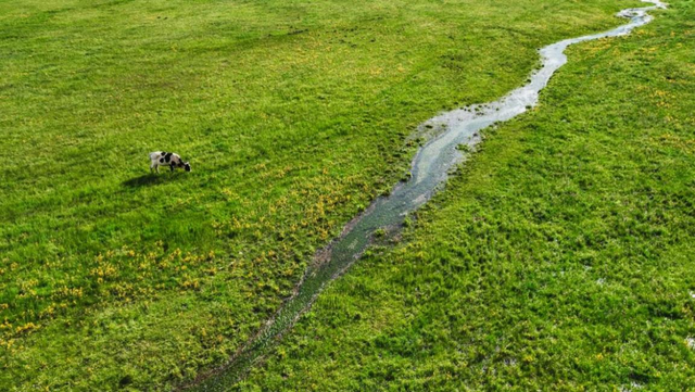 冬韵如诗！云南碧塔海静谧灵动
