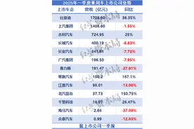 乘用车上市公司2025年一季报：过半实现盈利，有车企卖一辆亏3.44万元图片