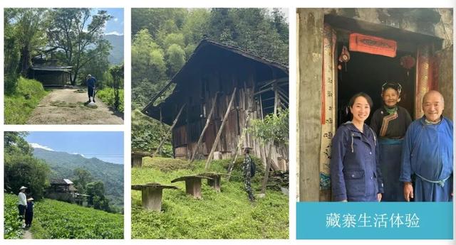 以熊猫为邻，与孩子交心，让亲子关系回归本真