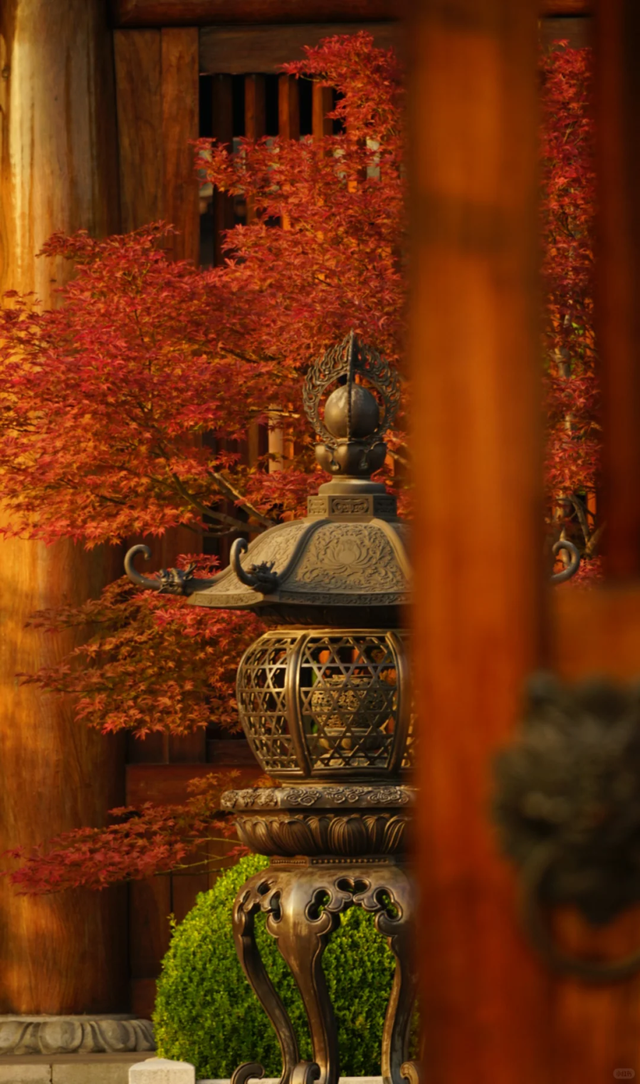 宝山隐藏打卡清单！“旅”选上海，“超”级精彩！这里出片率100%！