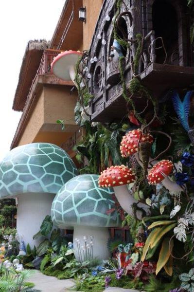 昆明娃暑期的快乐 就是与奥特曼超级飞侠一起冒险