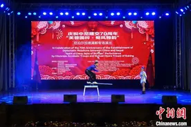 “芙蓉国粹·蜀风雅韵”专场演出走进尼泊尔图片