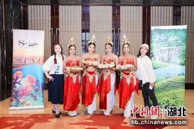 斯里兰卡旅游局2024年春季中国区巡回路演走进武汉图片