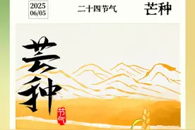 二十四节气芒种 | 忙而不茫，夏日初长图片