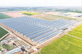 冀州区加速构建现代农业产业体系图片