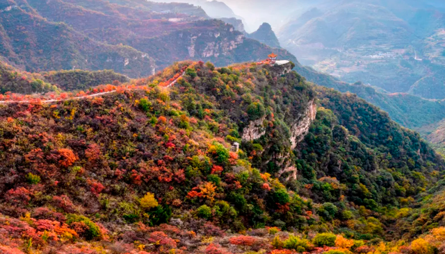一条济新高速，打开黄河两岸千里江山图