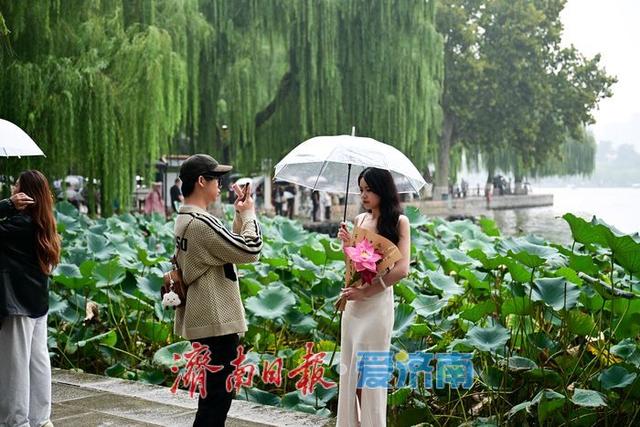 一年四季 泉在济南 | 烟雨大明湖邂逅“夏雨荷”，国庆雨中游热度攀升