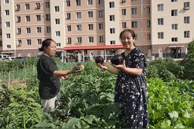 林西县：家门口“微公园” 兜起居民“小幸福”图片
