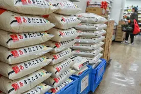 大米价格飙升！日本投放储备大米，被质疑“太迟”图片