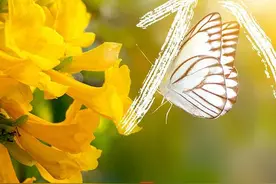 清明创意海报 | 用汉字打开最美四月图片