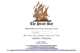 【2025年世界上最好的13个种子（bt）下载站点推荐】图片