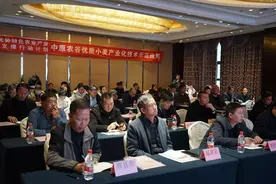 小麦高产如何“春管”？这场培训会干货满满图片