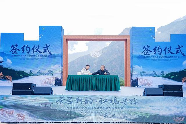 九龙县魁多镇千年古茶“破圈”而出 茶旅融合擦亮“高原特色”名片