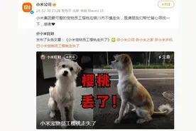 小米公司求助！“最可爱的宠物员工走失”，6年前雷军曾向贵客介绍过它图片