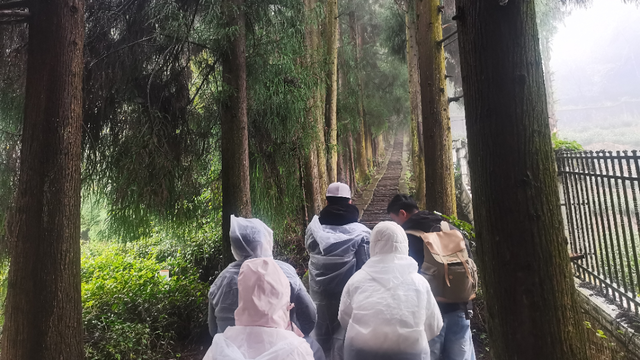 雅安市新闻战线四季度经济发展和冬季文旅主题采风组走进蒙顶山